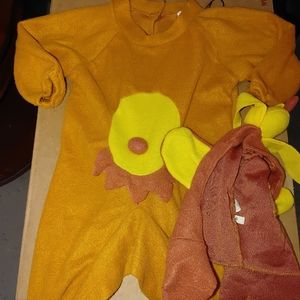 Monkey Halloween Costume for Baby